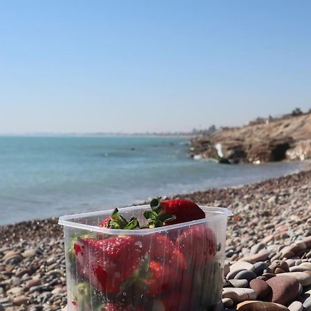 Casa Nostra On The Beach, אלמנארה מראה חיצוני תמונה